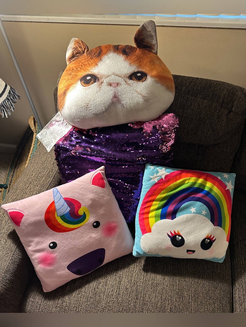 Decorative Pillows for Girls Room 8 included GUC